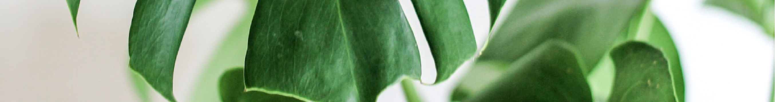 Valentina Albertini | Psicoterapeuta